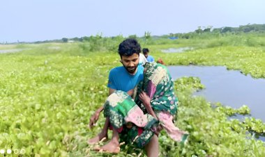 বিলের ঝোঁপে বৃদ্ধা মাকে রেখে লাপাত্তা ছেলে