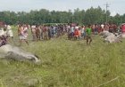 এক সঙ্গে ছয় মহিষসহ প্রাণ গেল রাখালের