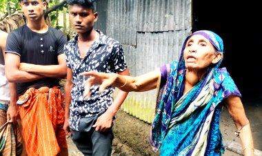 লালমোহনে সাপের কামড়ে স্বামীহারা নারীর মৃত্যু