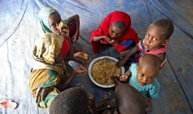বিশ্বে প্রতি ১০ জনে একজন ক্ষুধার্ত অবস্থায় ঘুমাতে যান: জাতিসংঘ