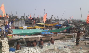 চরফ্যাশনে ট্রলারসহ ১২ মাঝিমাল্লা নিখোঁজ