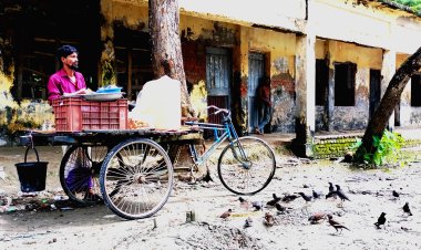 লালমোহনে পাখিদের প্রতি অন্যরকম ভালোবাসা ঝালমুড়ি বিক্রেতা বিল্লালের