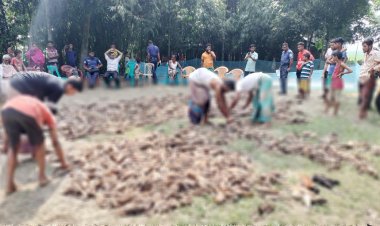 শত্রুর দেওয়া বিষে মরল ১৪০০ হাঁস