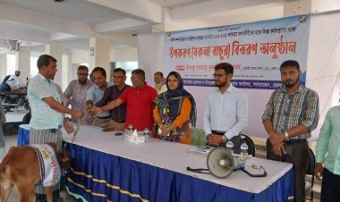 লালমোহনে ১৬ জেলের মাঝে বকনা বাছুর বিতরণ 