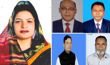 মনপুরা উপজেলা পরিষদ নির্বাচনে প্রতিদ্বন্ধীতা করবেন যারা