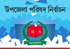 লালমোহন উপজেলা নির্বাচনে ৩ পদে ১৩ প্রার্থীর মনোনয়ন দাখিল