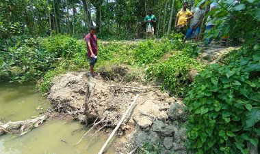 বোরহানউদ্দিনে আম কুড়াতে গিয়ে মাটি চাপায় গৃহবধূর মৃত্যু