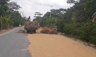 সড়ক যেন  ধান শুকানোর মাঠ!