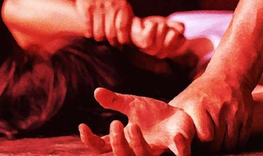 মোবাইলে ২০ দিনের প্রেম, লালমোহনে দুই বন্ধুর গণধর্ষণের শিকার কিশোরী