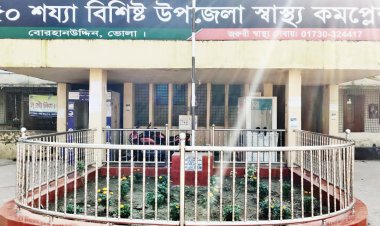 বোরহানউদ্দিনে কমলা বাগান থেকে শিশুর মরদেহ উদ্ধার