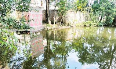 লালমোহনে পানিতে ডুবে শিশুর মৃত্যু