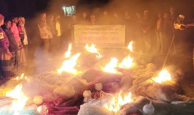 লালমোহনে ১০ লাখ টাকার অবৈধ জাল আগুনে পুড়িয়ে ধ্বংস