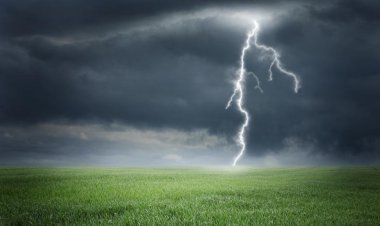 ধান কাটার সময় বজ্রপাতে ৬ জনের মৃত্যু