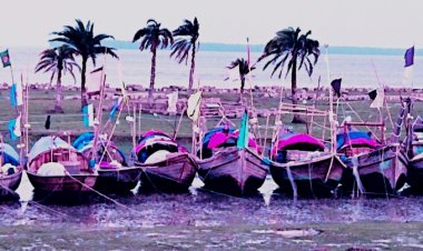 মেঘনায় দেখা নেই ইলিশের, তজুমদ্দিনের জেলে পল্লীতে হাহাকার