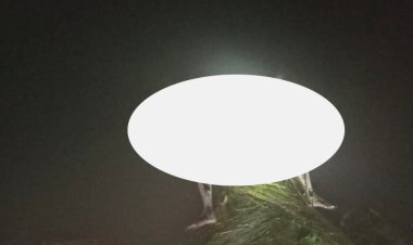 লালমোহনে ৯৯৯-এ কল পেয়ে খাল থেকে অর্ধগলিত লাশ উদ্ধার করলো পুলিশ