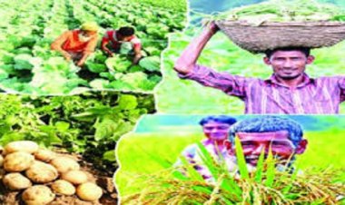 কৃষি উৎপাদনে বিশ্বের শীর্ষ দশে বাংলাদেশ