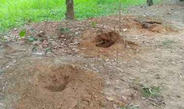 ১১ কবরের চার কঙ্কাল খোয়া