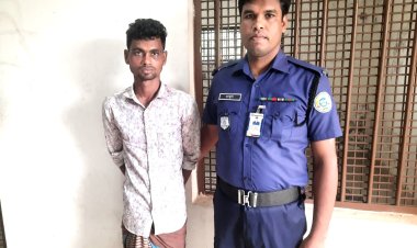 চরফ্যাশনে চোর আটক
