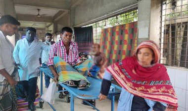 ছোবল দেওয়া সাপ নিয়ে হাসপাতালে কৃষক