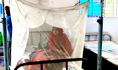 বোরহানউদ্দিনে বাড়ছে ডেঙ্গু রোগী