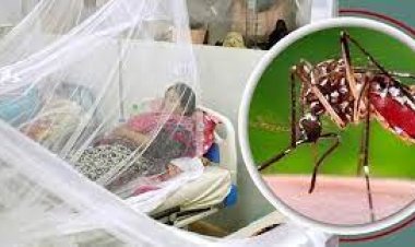 প্রতিদিনই দেশে ডেঙ্গু আক্রান্ত ও মৃত্যুর রেকর্ড ছাড়াচ্ছে