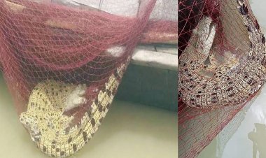 জেলের জালে মাছের বদলে উঠলো কুমির