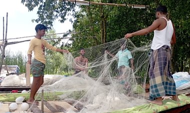 ইলিশের দেখা নেই বোরহানউদ্দিনের মেঘনা-তেঁতুলিয়ায়