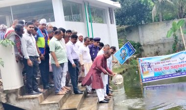 বোরহানউদ্দিনে জাতীয় মৎস সপ্তাহের উদ্বোধন