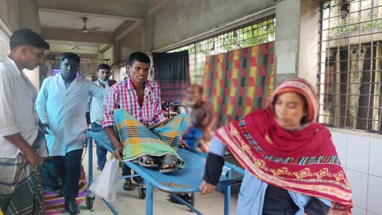 ছোবল দেওয়া সাপ নিয়ে হাসপাতালে কৃষক