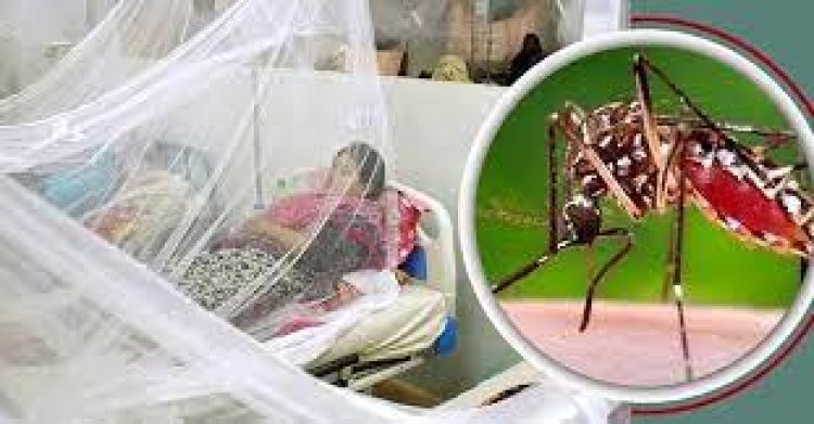 প্রতিদিনই দেশে ডেঙ্গু আক্রান্ত ও মৃত্যুর রেকর্ড ছাড়াচ্ছে