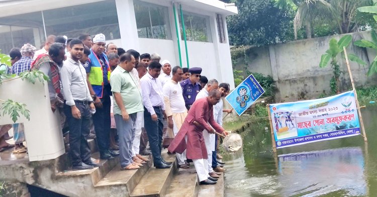 বোরহানউদ্দিনে জাতীয় মৎস সপ্তাহের উদ্বোধন