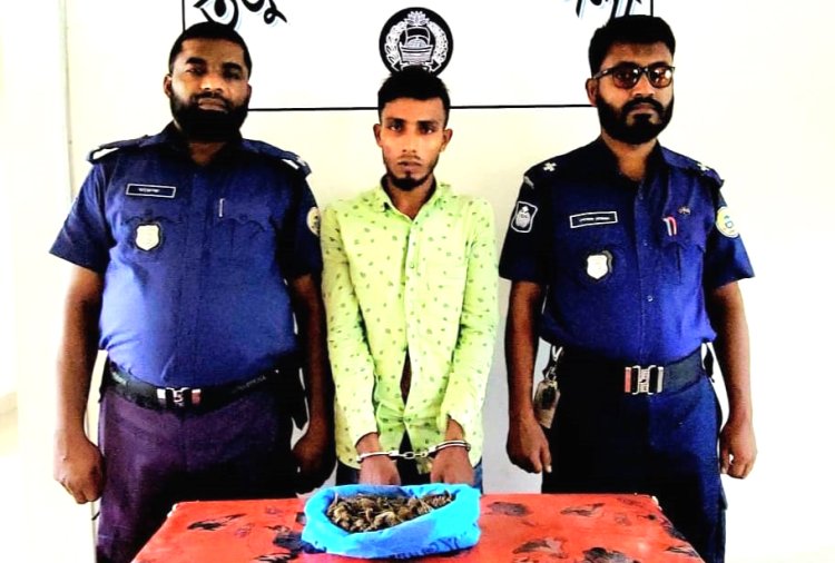 তজুমদ্দিনে গাঁজা নিয়ে যুবক যাচ্ছিলেন ক্রেতার কাছে, অতঃপর...