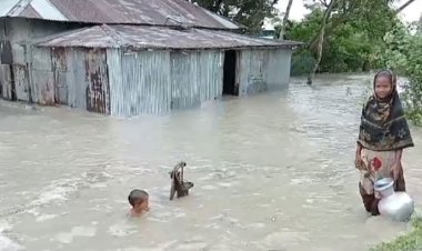 মনপুরায় পানিবন্দি ৫ হাজার মানুষ