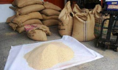 তজুমদ্দিনে পিআইওর বিরুদ্ধে মানবিক সহায়তার চাল বিতরণে অনিয়মের অভিযোগ