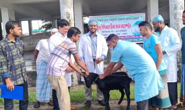 মনপুরায় বিনামূল্যে পিপিআর টিকা প্রদান ক্যাম্পেইন