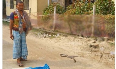 ছোবল দেওয়া সাপ নিয়ে হাসপাতালে যুবক