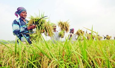 টেকসই কৃষির জন্য ৭ হাজার কোটি টাকার প্রকল্প