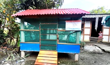 হাঁস-মুরগি পালনে পরিবেশ বান্ধব ঘর পেয়ে খুশি বোরহানউদ্দিনের ১১১ পরিবার