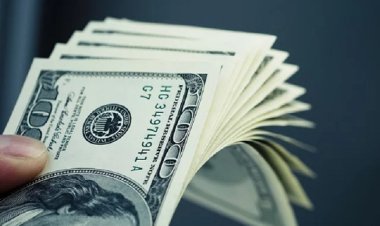 দেশে মাথাপিছু ঋণ ৩৬৫ ডলার