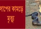 লালমোহনে সাপের ছোবলে কৃষকের মৃত্যু