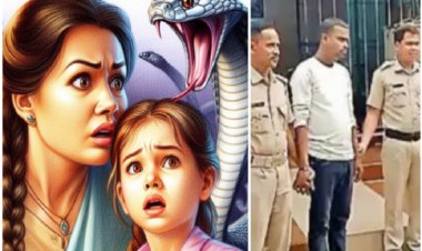 ঘরে বিষাক্ত সাপ ছেড়ে স্ত্রী-সন্তানকে হত্যা!
