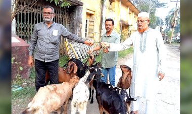এক বছর পর সাজামুক্ত ৯টি ছাগল