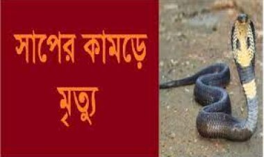 লালমোহনে সাপের ছোবলে কৃষকের মৃত্যু