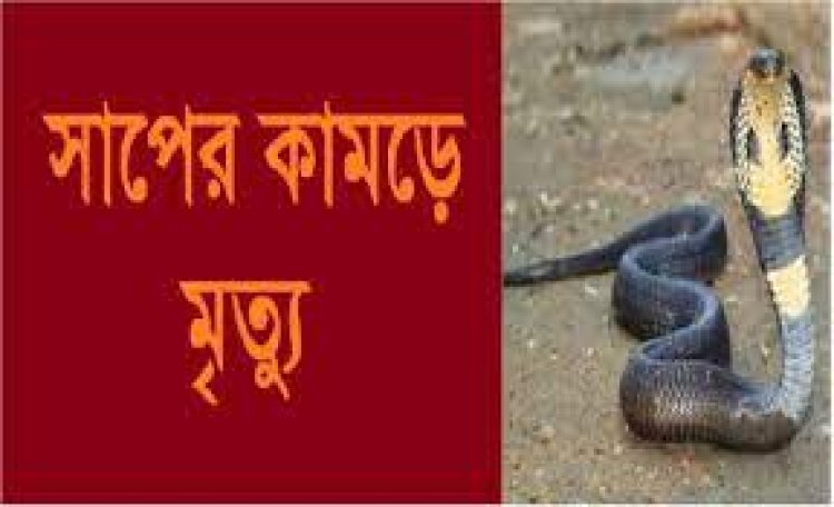 লালমোহনে সাপের ছোবলে কৃষকের মৃত্যু