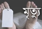 চরফ্যাশনে গাছ থেকে পড়ে দিনমজুরের মৃত্যু
