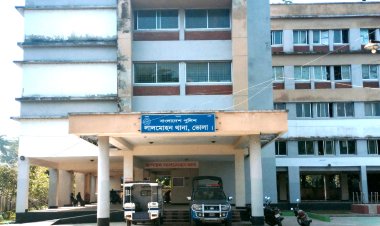 লালমোহনে গাছের আঘাতে যুবক নিহত