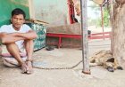 রিকশা চালককে কুকুরের সঙ্গে শিকল বন্দী