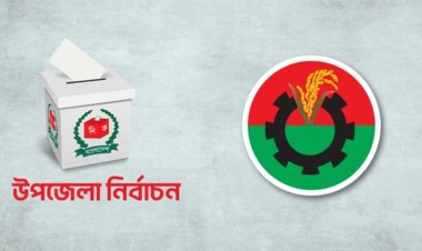 বিএনপির যারা উপজেলা চেয়ারম্যান হলেন