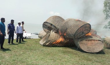 তজুমদ্দিনে মেঘনা নদীতে পাঙ্গাশ রক্ষায় অবৈধ ২৮টি চাই আগুনে পুড়িয়ে ধ্বংস