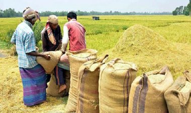 সিন্ডিকেটের ফাঁদে কৃষকরা, লাভ খাচ্ছে দালালরা